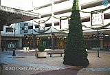 Christmas decorations No. 2 - Gracechurch Shopping Centre